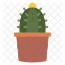 Cactus Cactus Pot Succulent Icon