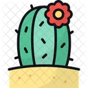 Cactus Cacti Nature Icon