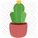 Cactus Planta Naturaleza Icono