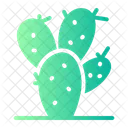 Cactus Nature Plant Icon