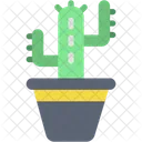 Cactus Decoration Plant Icon