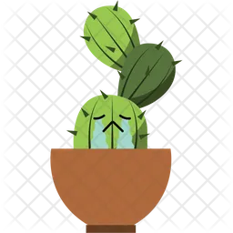 Cactus  Icono