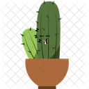 Cactus Home Plant Potted Plant 아이콘