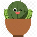 Cactus  Icône