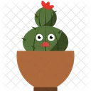 Cactus Home Plant Potted Plant Icon