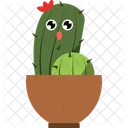 Cactus Home Plant Potted Plant 아이콘