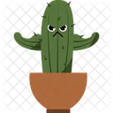 Cactus Home Plant Potted Plant Icon