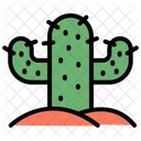 Cactus  Icon