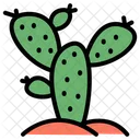 Cactus  Icon