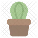 House Plant Plant Nature Icon