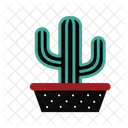 Cactus Succulent Cacti Icon