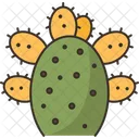 Cactus Prickly Pear Icon