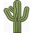 Cactus Saguaro Desert Icon