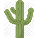 Cactus Saguaro Desert Icon