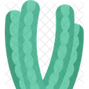 Cactus Organ Pipe Icon