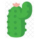 Foliage And Floral Cactus Succulent Icon
