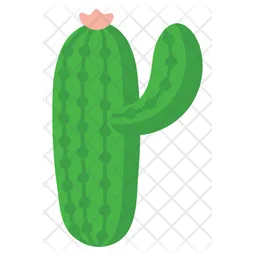 Cactus  Icono