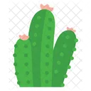 Foliage And Floral Cactus Succulent Icon