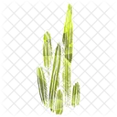 Cactus Icon