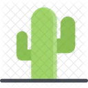 Cactus  Icon