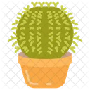 Cactus barril  Icono