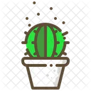 Cactus barril  Icono