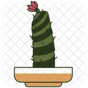 Cactus Blue Candle Icon