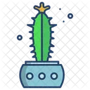 Cactus Candelabra Cactus  Icon