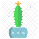 Cactus candelabro cactus  Icono