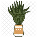 Cactus Cebra Icono