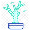 Cactus Cholla Cactus Icon