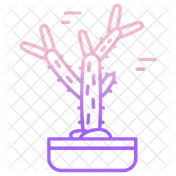 Cactus Cholla Cactus  Icon