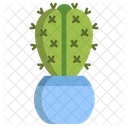 Cactus Cristata Cactus  Icon