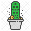 Cactus dedo de dama  Icono