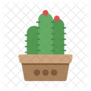 Cactus en maceta  Icono