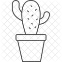 Cactus en maceta  Icono