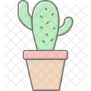 Cactus En Pot Cactus Pot Ícone
