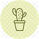 Cactus En Pot Cactus Pot Ícone