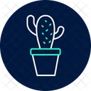 Cactus En Pot Cactus Pot Ícone