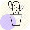 Cactus En Pot Cactus Pot Ícone