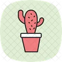 Cactus En Pot Ícone