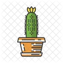 Cactus erizo en maceta  Icono