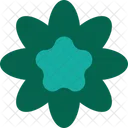 Cactus Flower  Icon