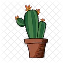 Cactus de flujo  Icono