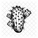 Fruta De Cactus Icono