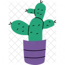 Cactus Houseplant Cacti Pot Cactus Pots Icon