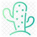 Cactus  Icon