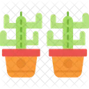 Cactus  Icon