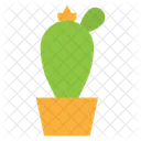 Plant Nature Pot Icon