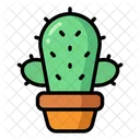 Cactus  Icon